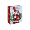 Picture of CHRISTMAS SANTA GIFT BAGS